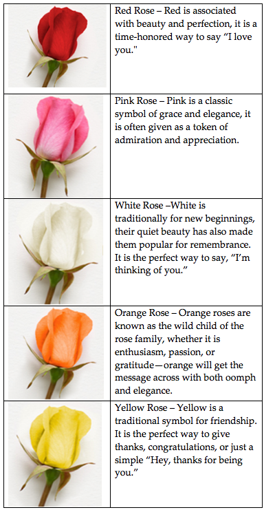 Pink Rose Color Meanings Chart