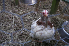 IMGP0213.jpg