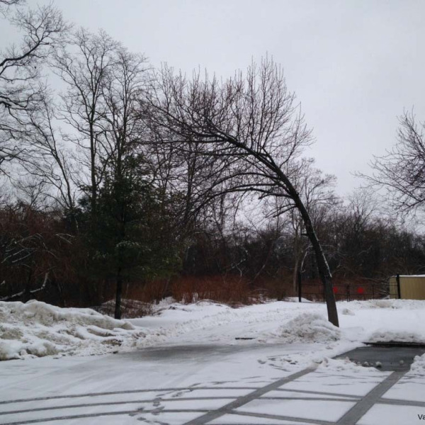 Memorial Garden2.jpg