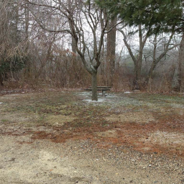 Memorial Garden3.jpg