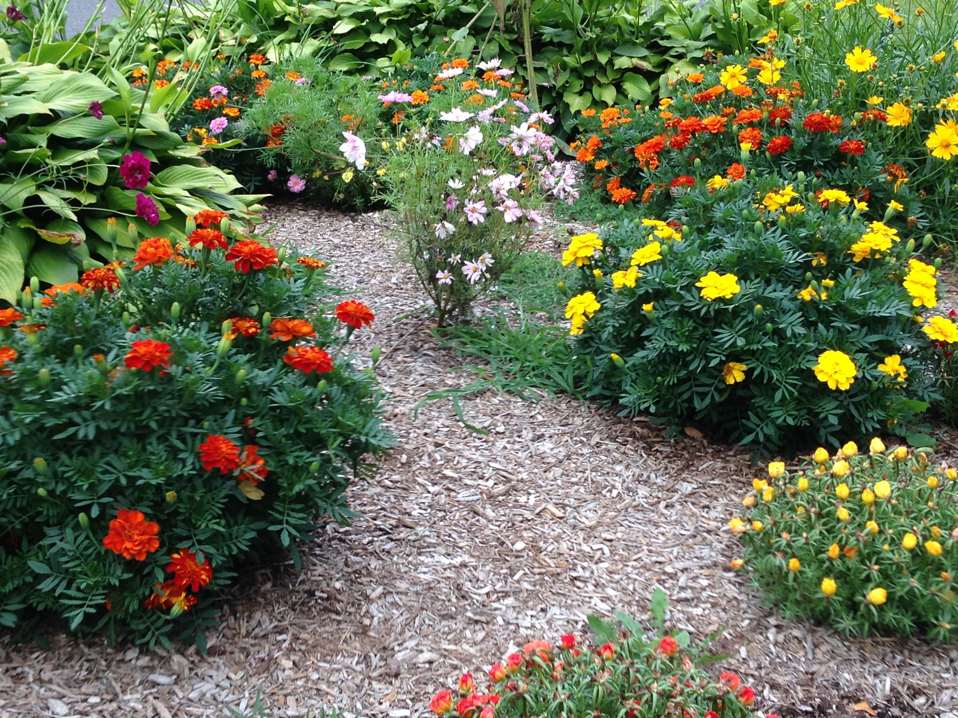 North Great River Civic Association Project Bloom