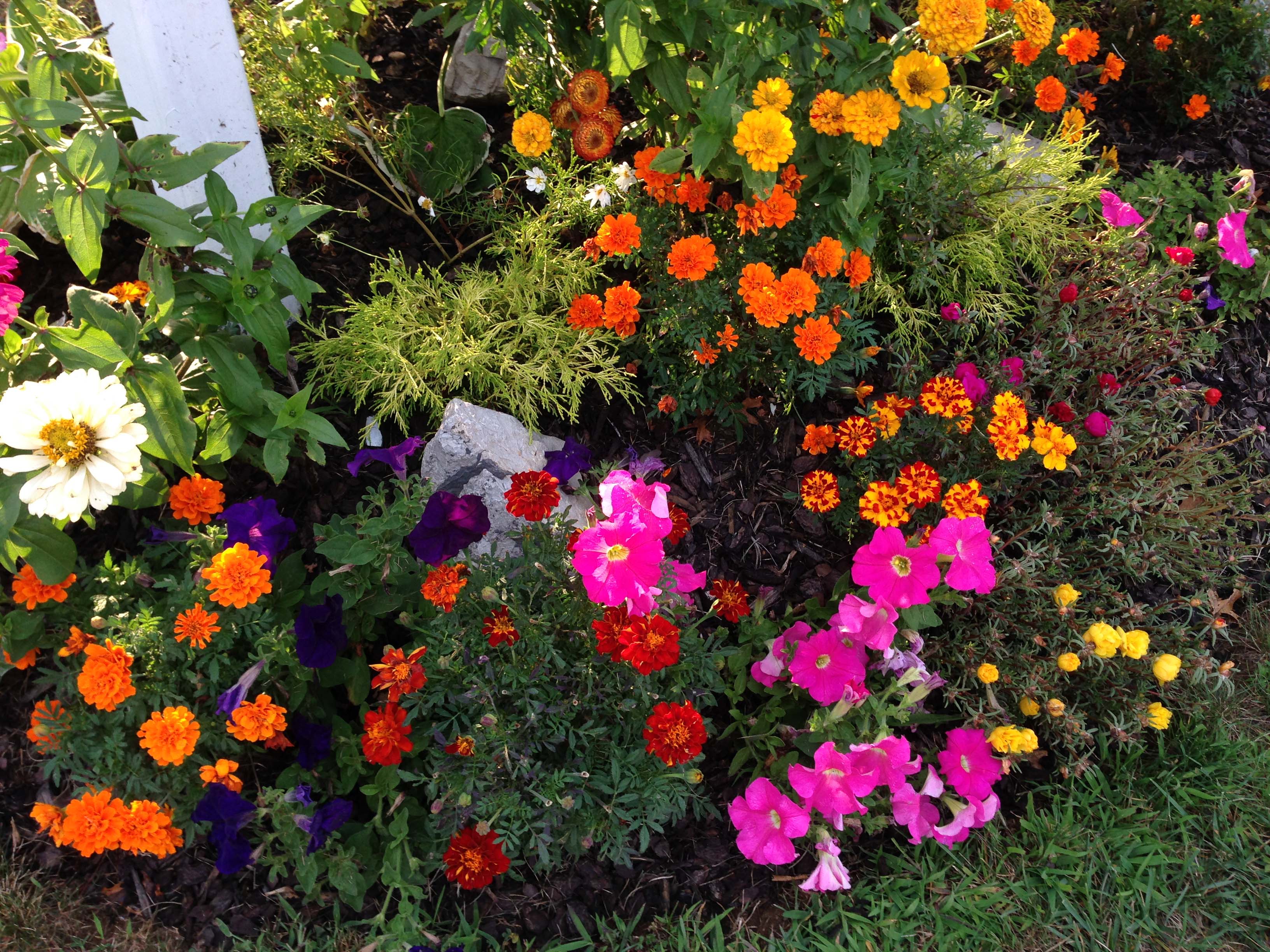 East Islip Community Cleanup Project Bloom