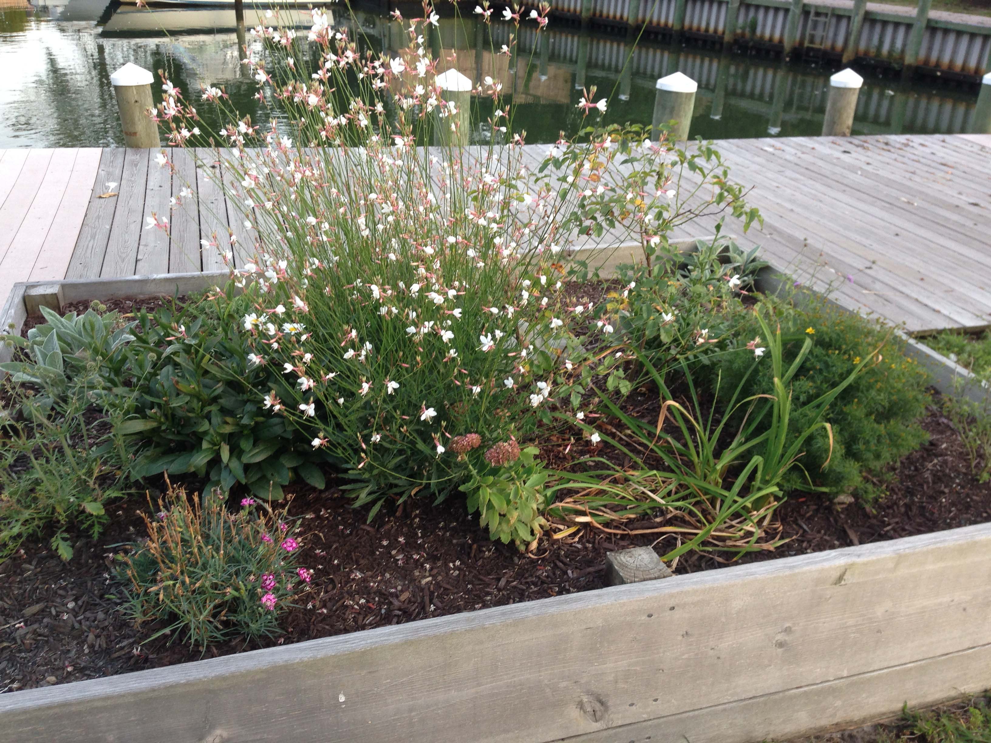 East Islip Yacht Sales Project Bloom