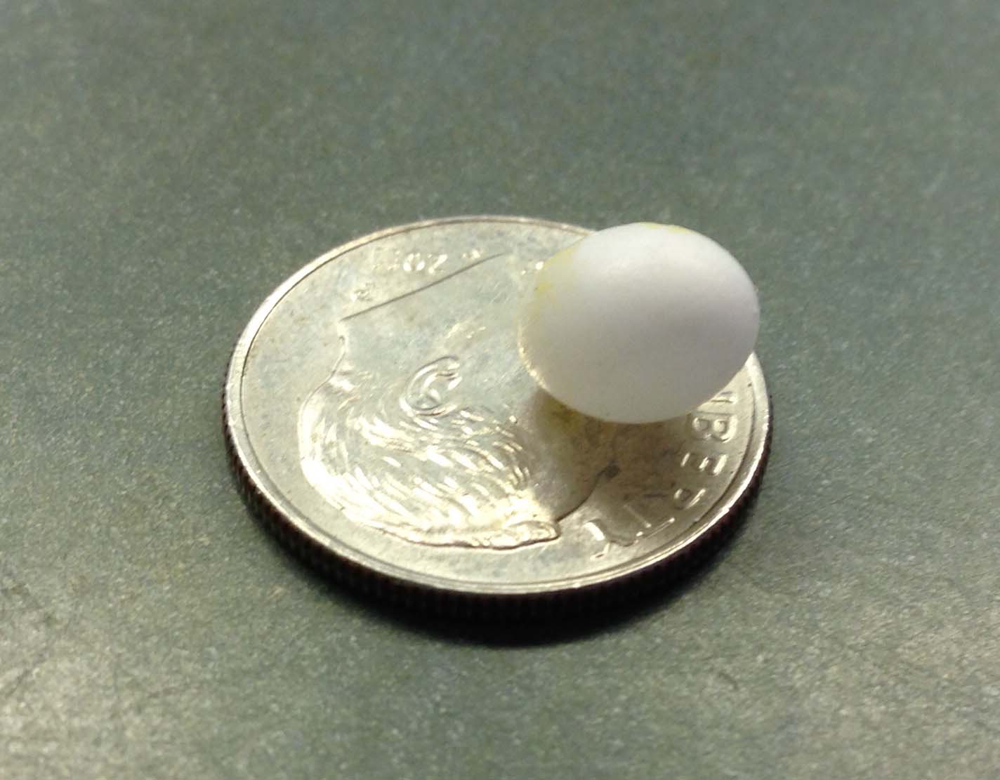 Red Finch Egg