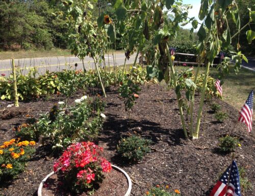 Great Garden Award – North Great River Civic Association