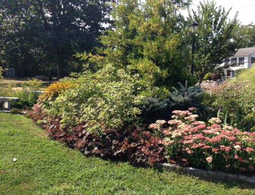 Great Garden Awards 2016