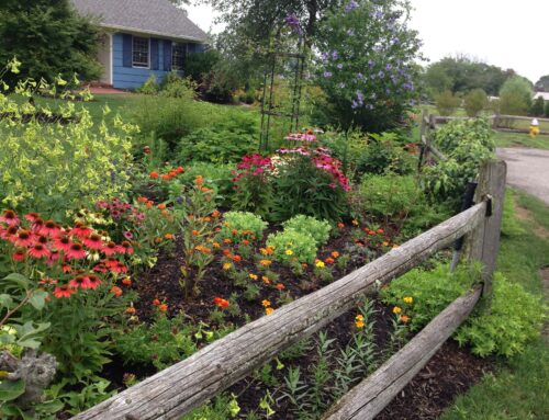 Islip Historical Society Garden Walk 2017