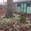 Backyard Snow Drops