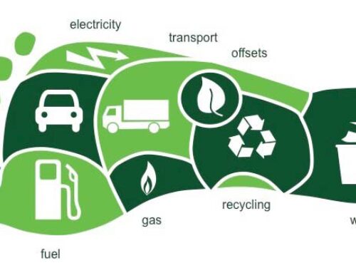 7 Ways to Minimize Your Carbon Footprint