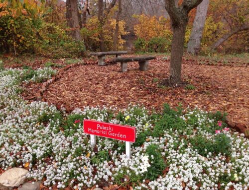 November Project Bloom Photos