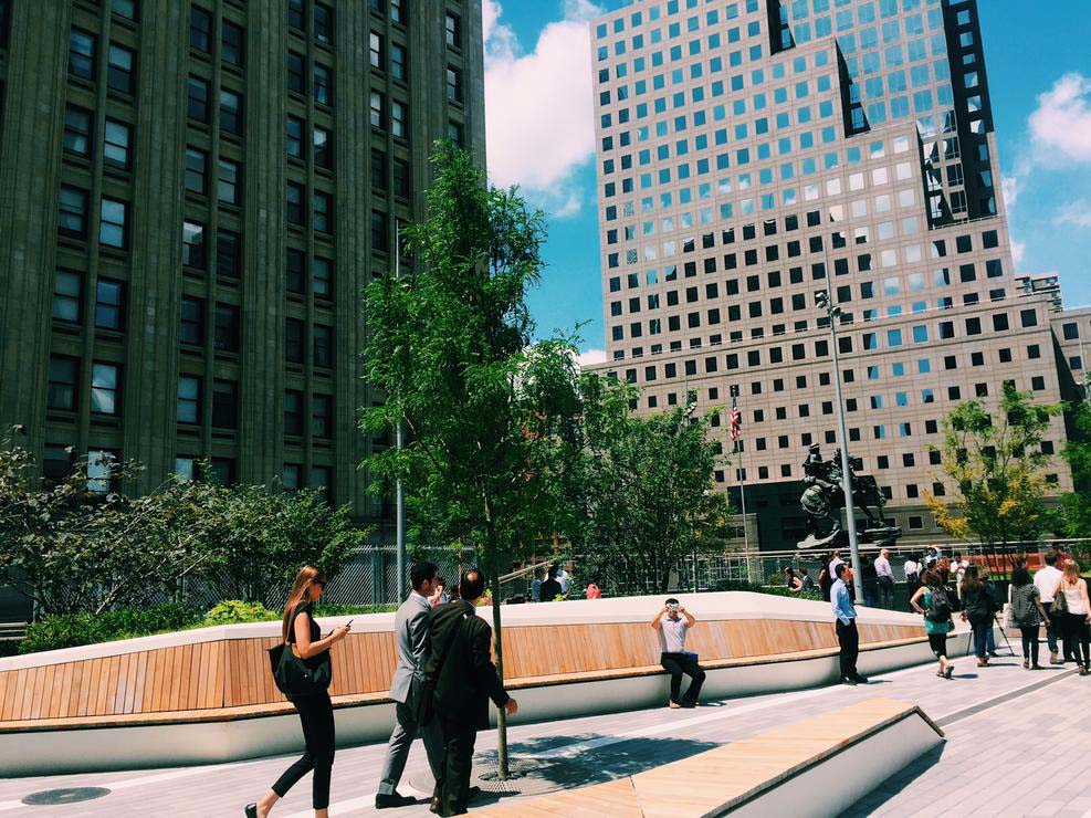 park11_SN